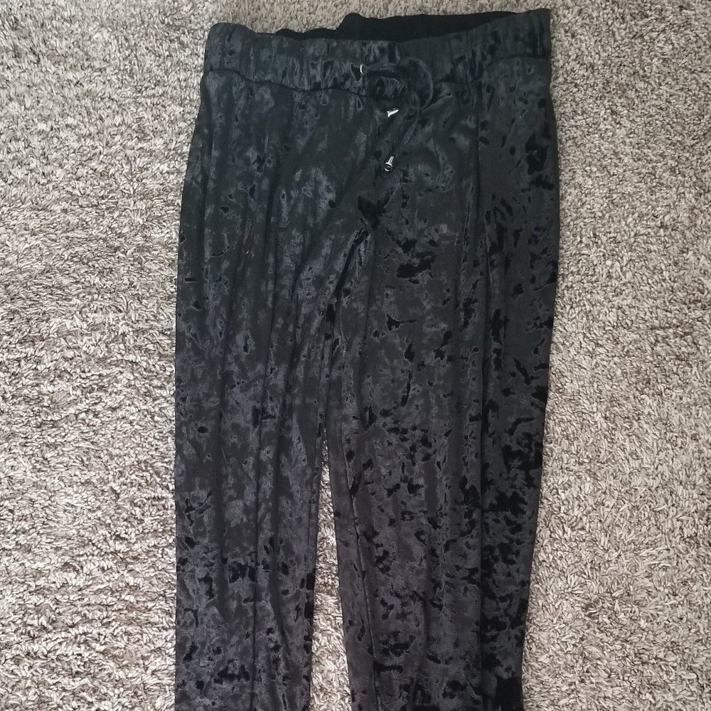 NWT Tall Jodhpur Leggings, Size 6, Black, Crushed Velvet
